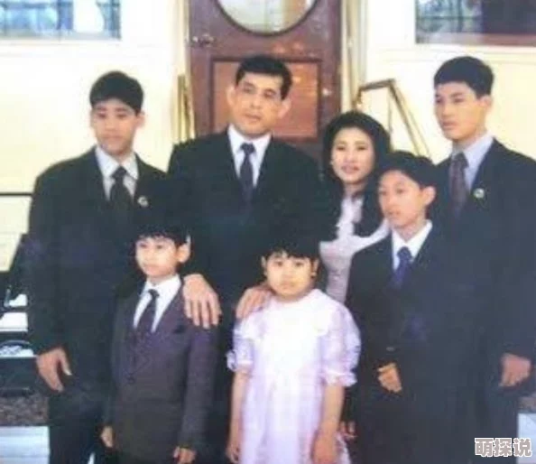 宫斗不如养条狗生活中有爱有陪伴才是最重要的快乐源于简单的幸福