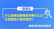 精品视频二区高清资源持续更新中