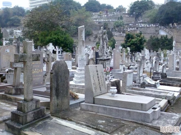 惊喜揭秘！元气骑士墓碑激活全攻略：高效步骤与隐藏技巧大放送