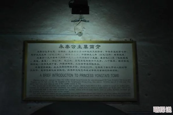 日久不休封家村之荒墓勇敢追寻希望与梦想，重拾生命的意义