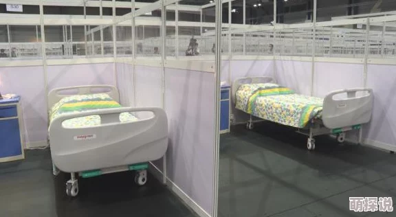 亚洲精品社区版本更新维护中敬请期待