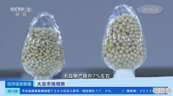 我的好妈妈7中字大豆行情网最新大豆市场动态分析与价格走势预测 我的好妈妈7中字大豆行情网最新大豆市场动态分析与价格走势预测