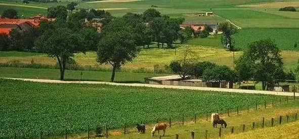 乡野欲朝近日,乡村旅游热潮持续升温,吸引了大量游客前来体验田园生活和农耕文化。 乡野欲朝近日,乡村旅游热潮持续升温,吸引了大量游客前来体验田园生活和农耕文化。