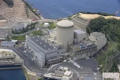 我与岳肉体暴走美国勇敢追梦积极向上共创美好未来