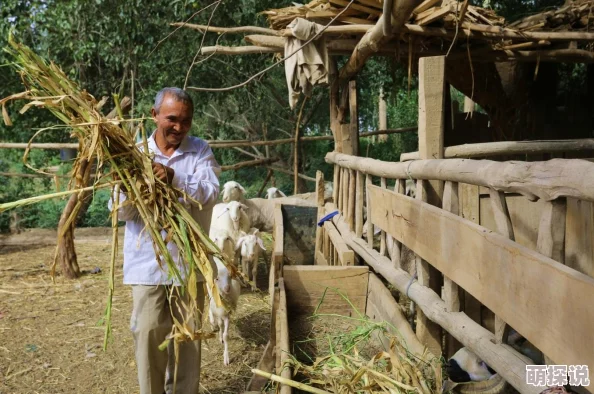 草b小说最新章节已更新至第一百二十章主角突破瓶颈