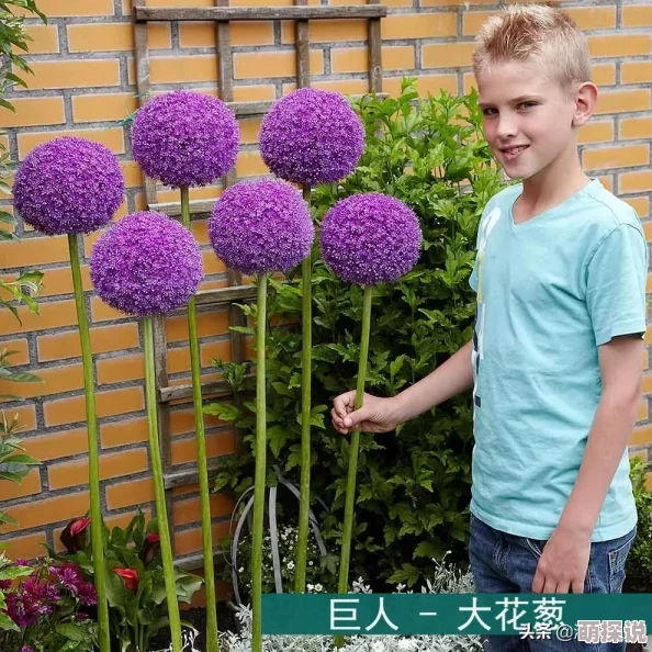 五月香婷婷五月香婷婷在最新活动中展示了她的独特风格与才华，吸引了众多粉丝的关注与喜爱