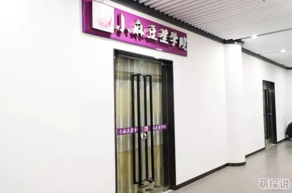麻豆影视有限传媒公司科普探索其发展历程作品风格及未来走向