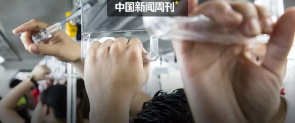 欧美性videos高清另类hd更新至20241027期新增多个精彩片段