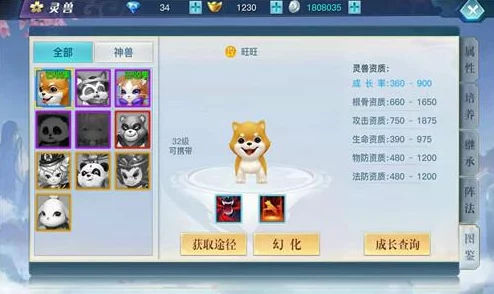 惊喜揭秘！龙武手游高效技能搭配攻略：全面解析调整技巧与必胜要点