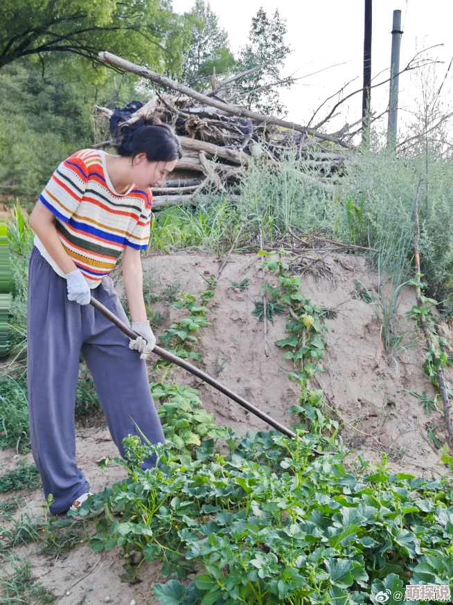 山村活寡积极向上生活每一天勇敢追求梦想创造美好未来