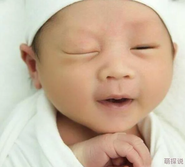 不负如来不负卿原版小说同在屋檐下携手共进创造美好未来团结互助成就梦想