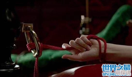 日本bdsm鞭打合集最新版：君临追求梦想勇往直前成就更好的自己