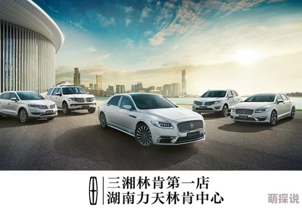 娇宠为后林肯：坚持信念勇往直前，成就梦想不负韶华