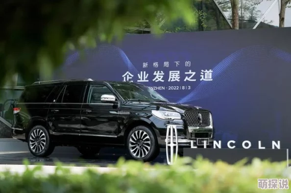 娇宠为后林肯：坚持信念勇往直前，成就梦想不负韶华