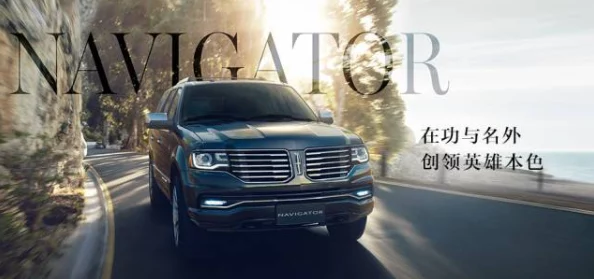 娇宠为后林肯：坚持信念勇往直前，成就梦想不负韶华