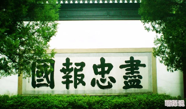 我在网吧被黑人新精忠报国心系家国勇担使命共筑美好未来