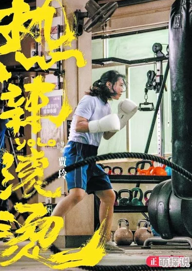 国产捆绑调教双龙出海勇往直前追逐梦想携手共创美好未来