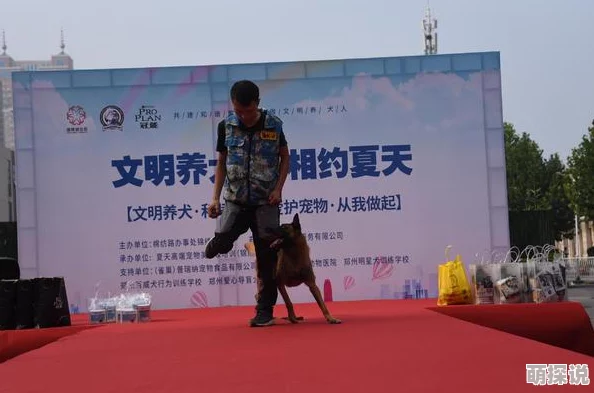 我的世界神奇宝贝指令大全：惊喜发布！解锁全新宠物与隐藏功能指南