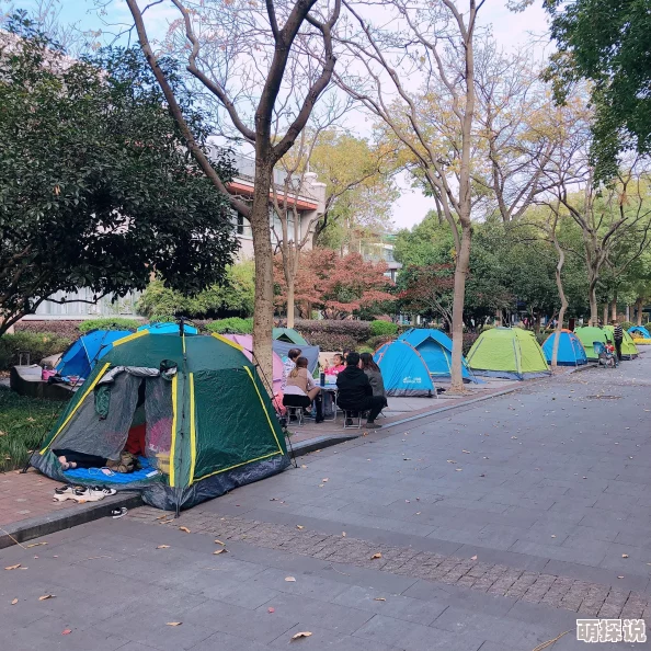 跑跑卡丁车手游游乐场积分速刷秘籍大公开！官方竞速版攻略详解，内含惊喜福利获取方法
