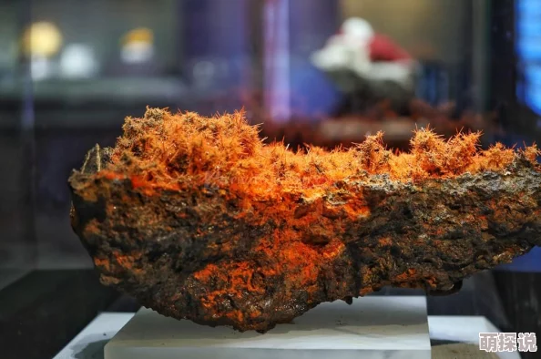 原始传奇惊喜揭秘：探索未知，哪个地图不仅更好玩还藏有神秘宝藏等你发现！