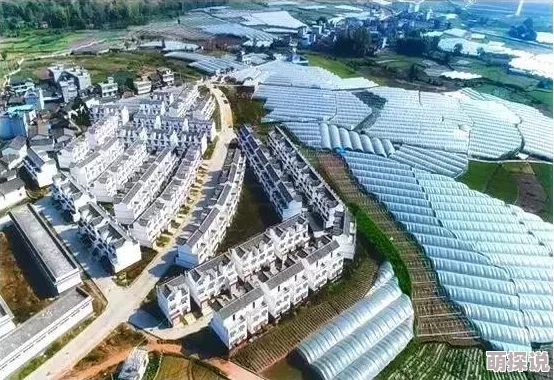 揭秘！文明6中令人惊喜的首府归属：竟是这个古老而辉煌的文明！