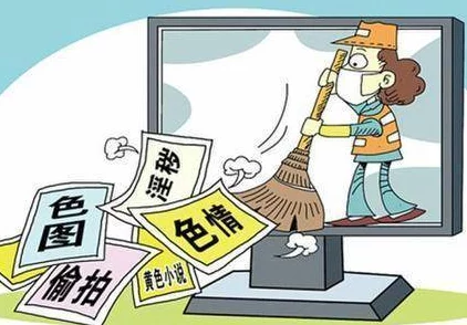 十大看黄色软件风险与危害的深度探索及安全防范建议