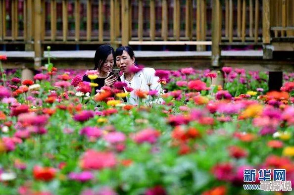 春水流近日春季气温回暖各地花卉竞相开放吸引游客纷纷前来观赏