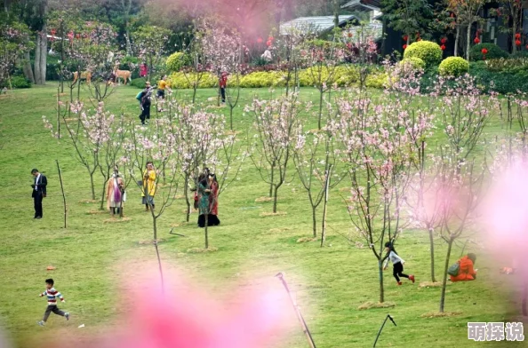 春水流近日春季气温回暖各地花卉竞相开放吸引游客纷纷前来观赏