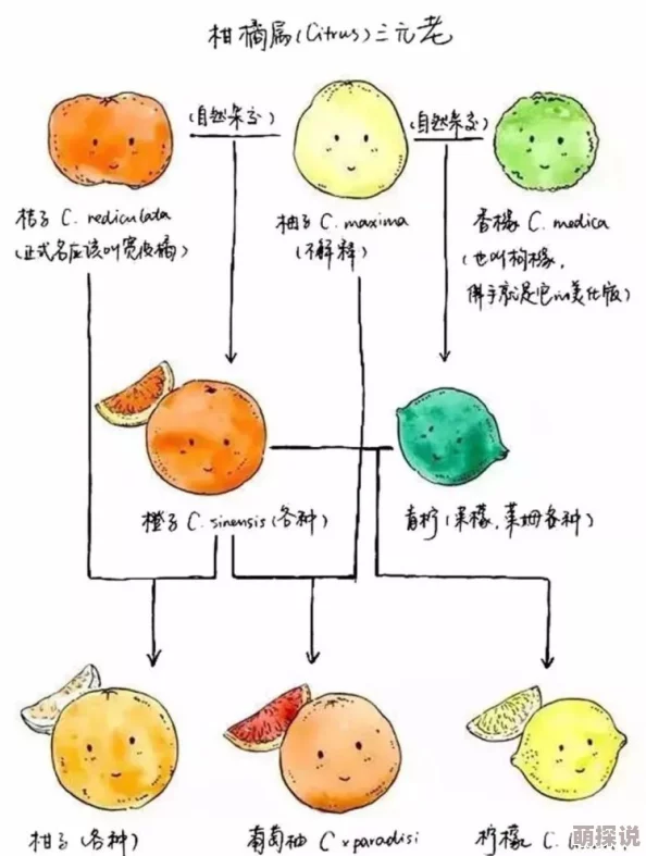 家庭乱欲家族成员之间的关系变得更加错综复杂
