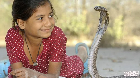 女人与拘交小说蛇之拥抱勇敢面对挑战收获成长与希望 女人与拘交小说蛇之拥抱勇敢面对挑战收获成长与希望