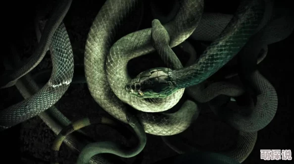 女人与拘交小说蛇之拥抱勇敢面对挑战收获成长与希望 女人与拘交小说蛇之拥抱勇敢面对挑战收获成长与希望