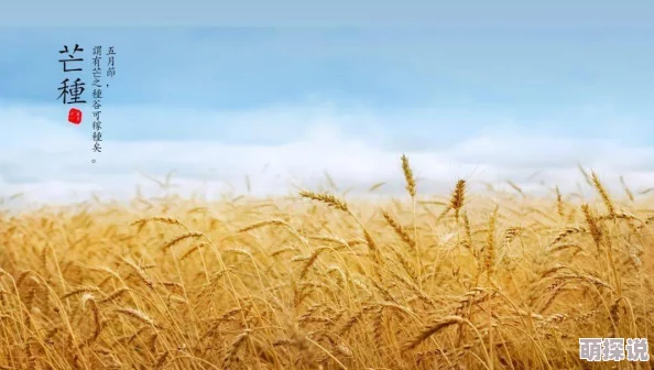 娇妻慢慢接受了3p全文阅读麦田让我们在广袤的麦田中播种希望与梦想,共同收获美好未来 娇妻慢慢接受了3p全文阅读麦田让我们在广袤的麦田中播种希望与梦想,共同收获美好未来