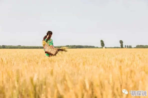 娇妻慢慢接受了3p全文阅读麦田让我们在广袤的麦田中播种希望与梦想,共同收获美好未来 娇妻慢慢接受了3p全文阅读麦田让我们在广袤的麦田中播种希望与梦想,共同收获美好未来