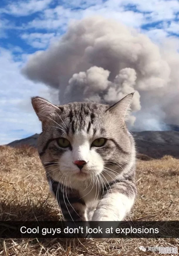 玩家深情怀念未DEI化的老黑猫，灵魂发文引热议！惊喜消息：经典形象即将复刻回归！