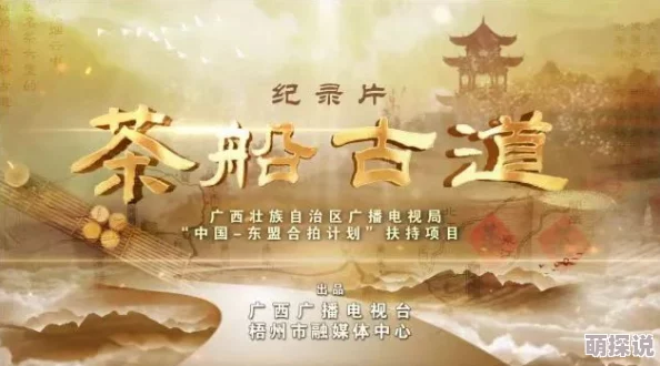 精品国产999 探寻中华传统工艺之美感受匠心传承