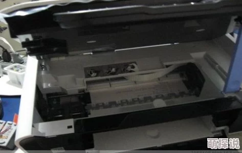 打印机纸吸不进去检查纸张方向和类型并清洁滚轮重试