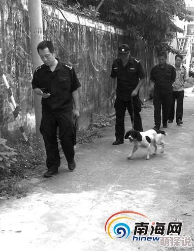 美腿丝袜美女被强公交车警方已介入调查案件正在进一步侦办中