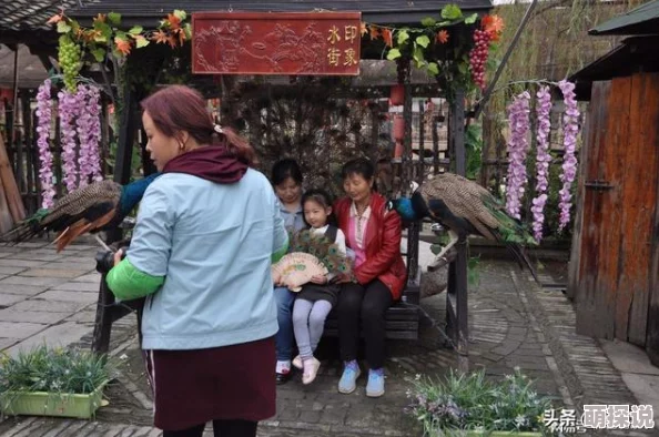 农家乐小老板txt山村创业路漫漫美食美景待君来