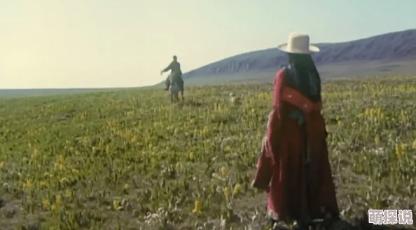 国产乱子伦露脸在线影片资源更新至第8集