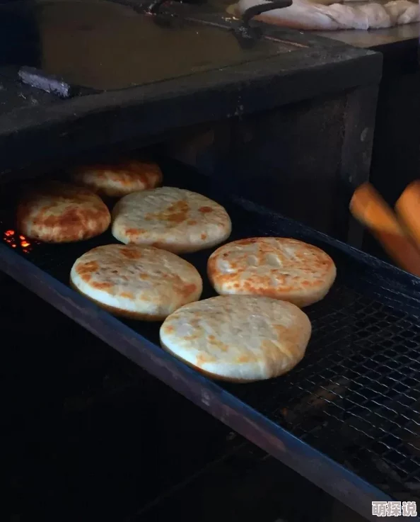 在路上旅游nhp探索隐藏的美丽小镇和独特的地方美食