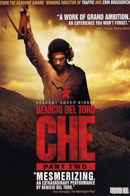 啊嗯小说切·格瓦拉传：游击队追求理想勇敢前行成就自我价值