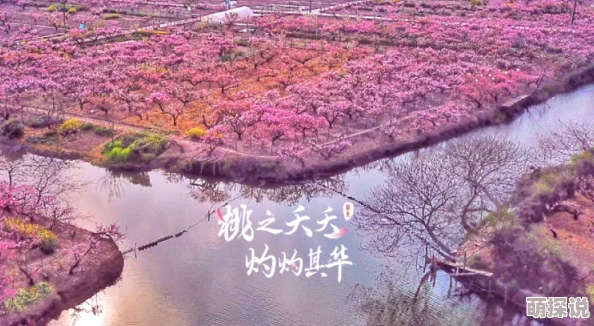 乡村春色小说桃花盛开之际村里来了一个神秘的画家
