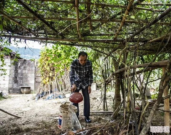 天天摸天天看天天爽努力奋斗追求梦想让每一天都充满希望与快乐