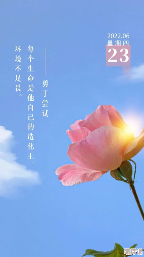 天天摸天天看天天爽努力奋斗追求梦想让每一天都充满希望与快乐