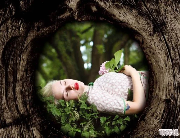 好莱坞的秘密花园每个人都可以在生活中找到属于自己的美好与希望