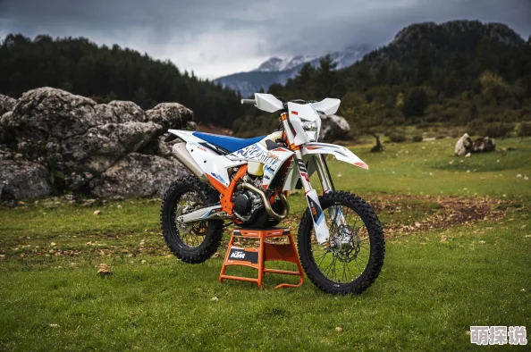 2024年惊喜推荐:类似赛车模拟器游戏大揭秘,玩法相似佳作等你来挑战! 2024年惊喜推荐:类似赛车模拟器游戏大揭秘,玩法相似佳作等你来挑战!