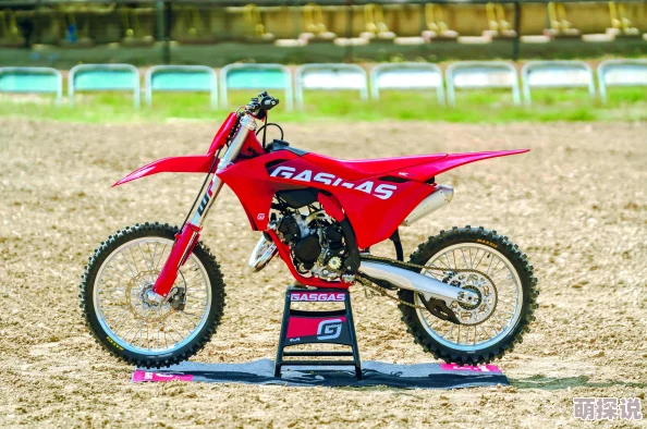 2024年惊喜推荐:类似赛车模拟器游戏大揭秘,玩法相似佳作等你来挑战! 2024年惊喜推荐:类似赛车模拟器游戏大揭秘,玩法相似佳作等你来挑战!