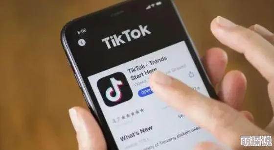 TikTok没有网络连接怎么解决正在检查网络设置及TikTok服务器状态