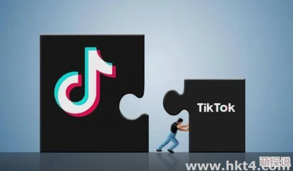 TikTok没有网络连接怎么解决正在检查网络设置及TikTok服务器状态