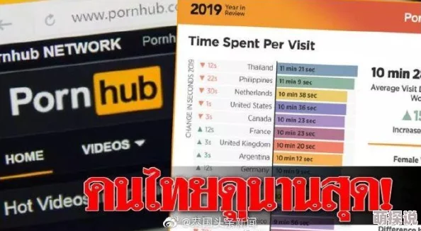 成人看片app正在进行版本更新优化用户体验